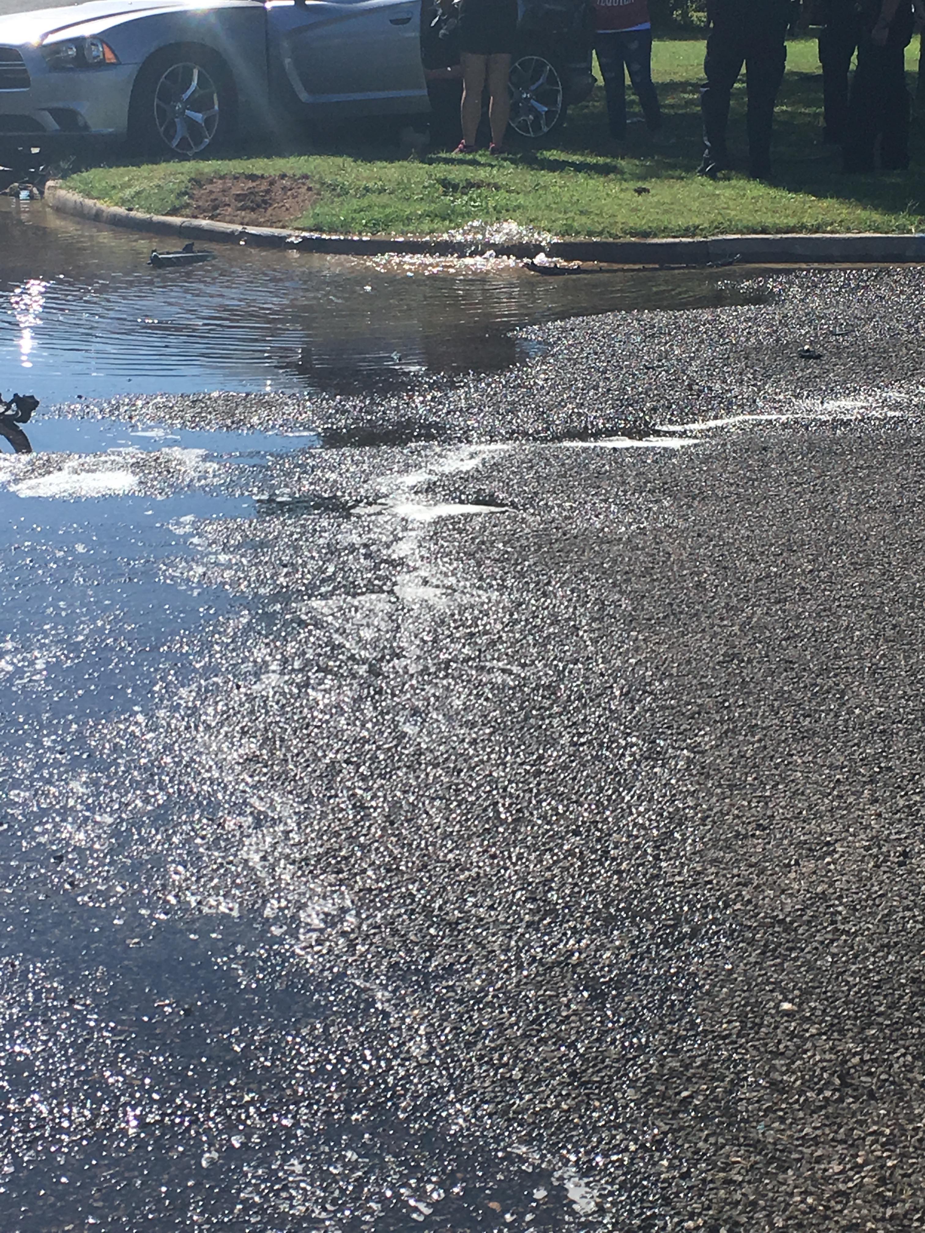 Crash on Alexander and Chestnut (LIVE! Photo/Maura Ballard)