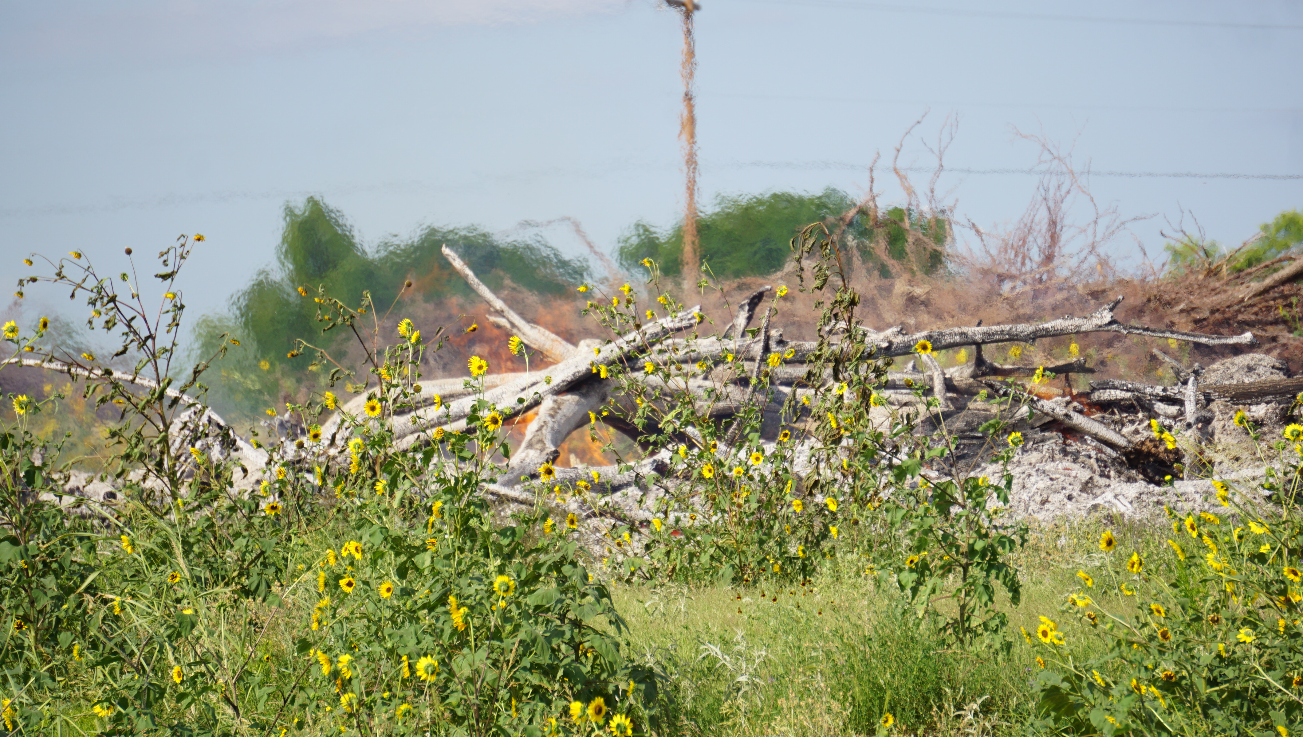 A fire in a pile of debris near Lake Nasworthy will have firemen up all night. (LIVE! Photo/John Basquez)