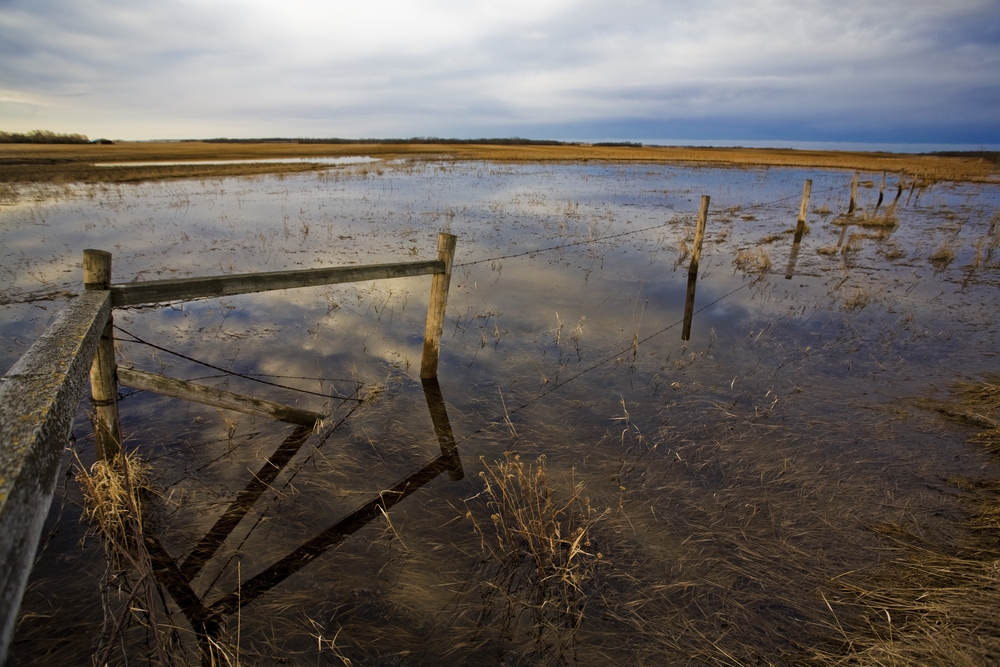 Flooded Field