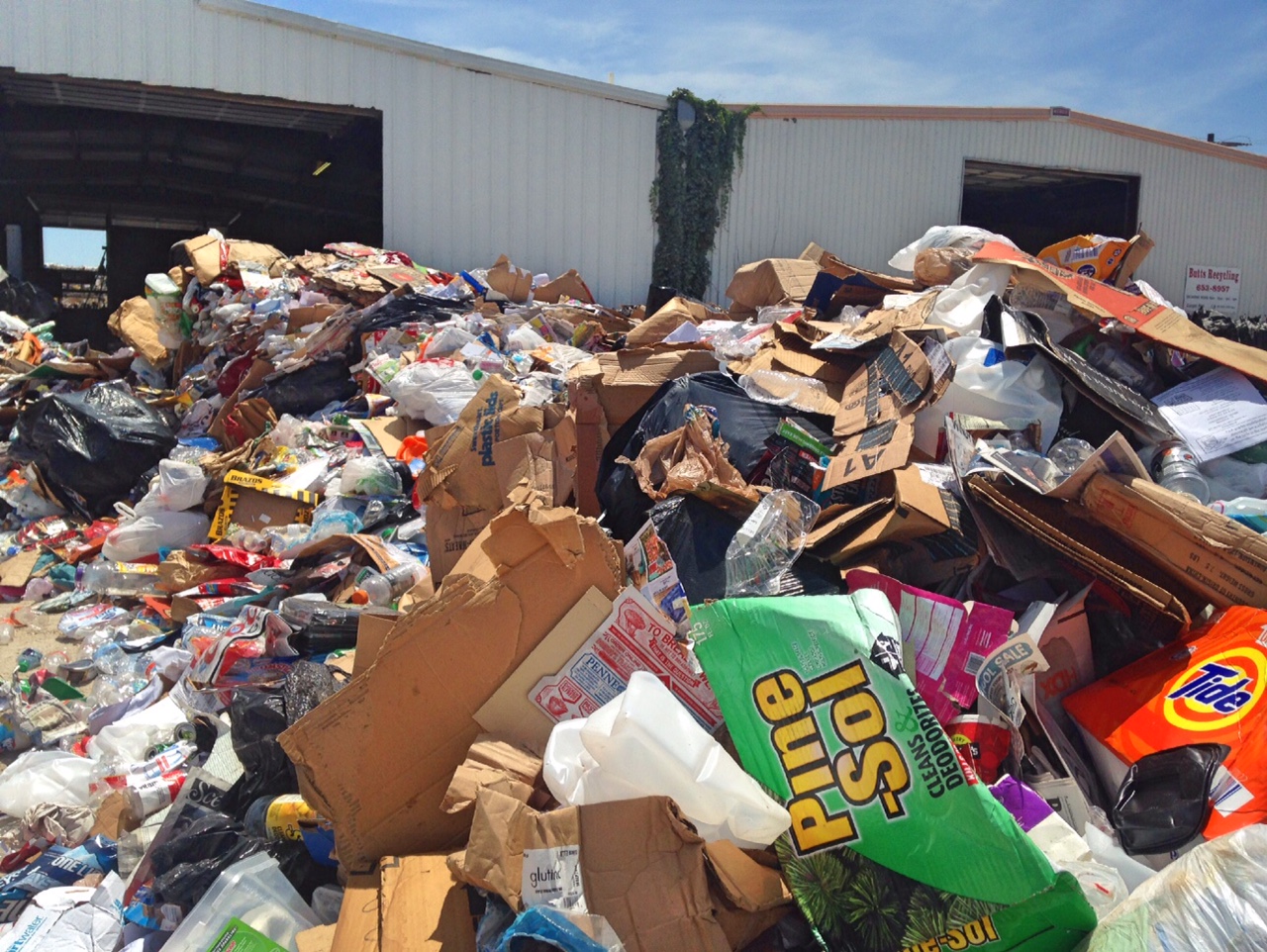 5 Essential Things You Need to Know Now About Recycling in San Angelo