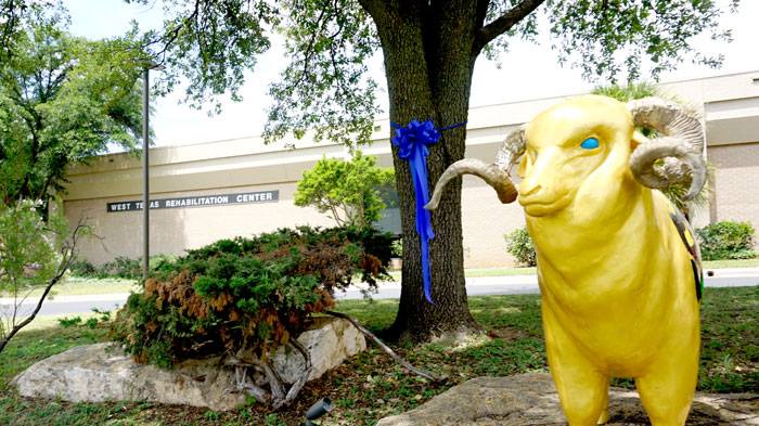 Blue ribbons appeared all over San Angelo in tribute to falled police officer Sgt. Korby Kennedy. (LIVE! Photo/Benjamin Hettick)