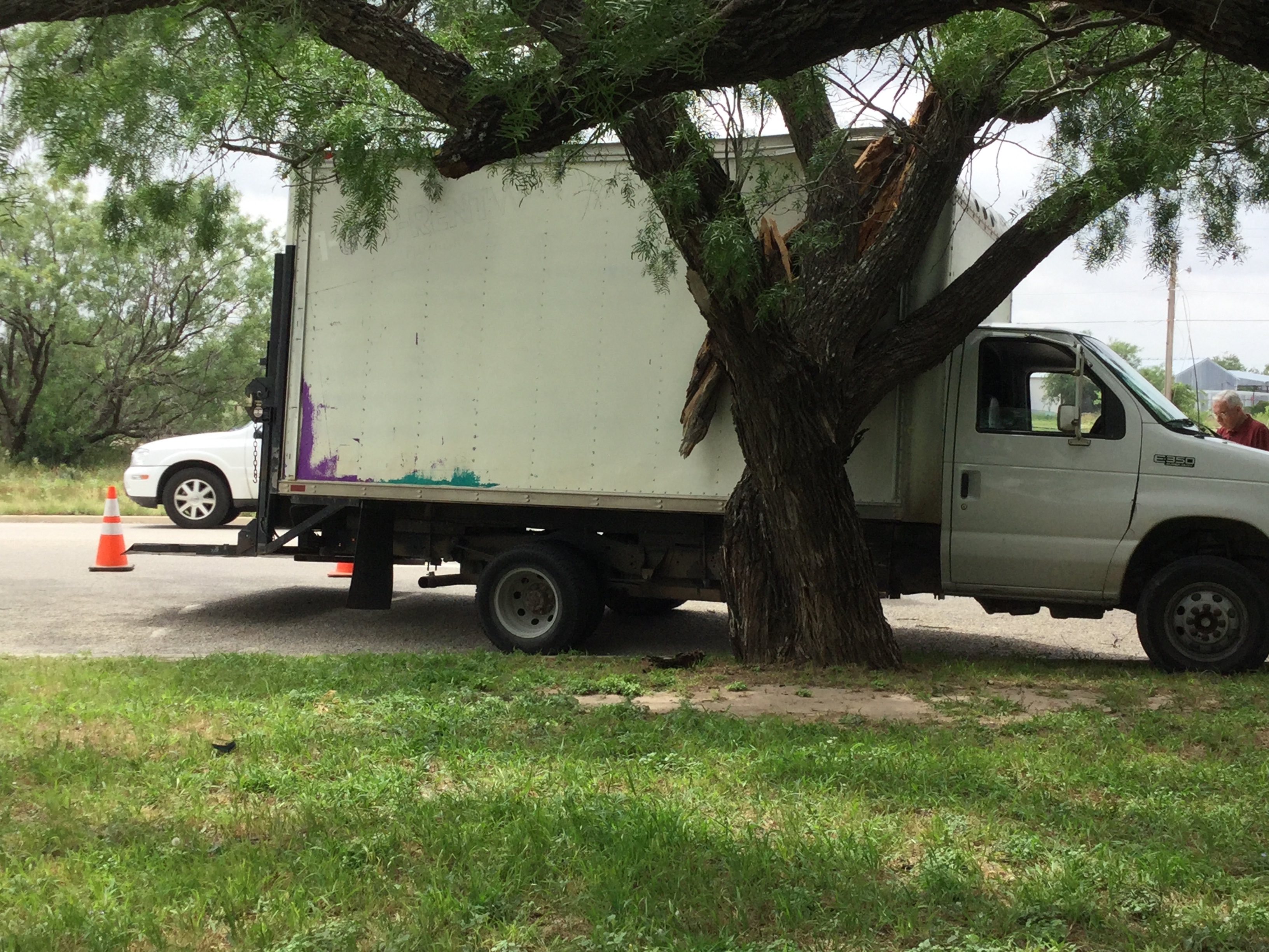 A box truck crashed into a mesquite tree on 14th St. (LIVE! Photo/Gabriel Neves) A box truck crashed into a mesquite tree on 14th St. (LIVE! Photo/Gabriel Neves)
