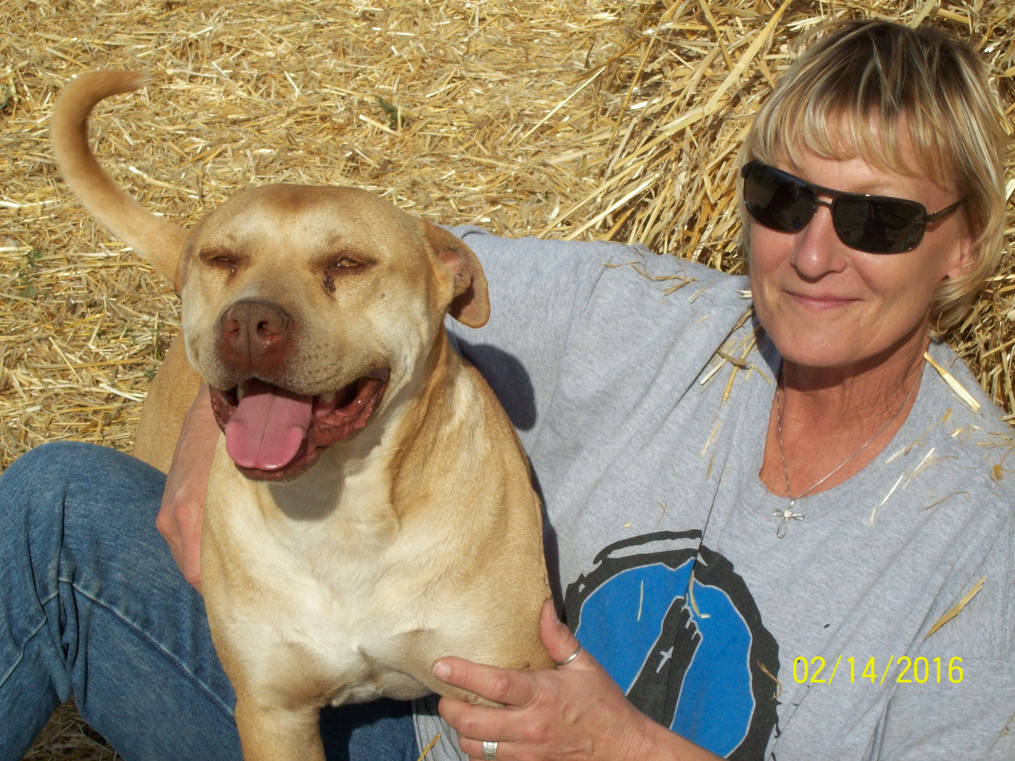 Local Dog Rescue Looking for Loving Hearts