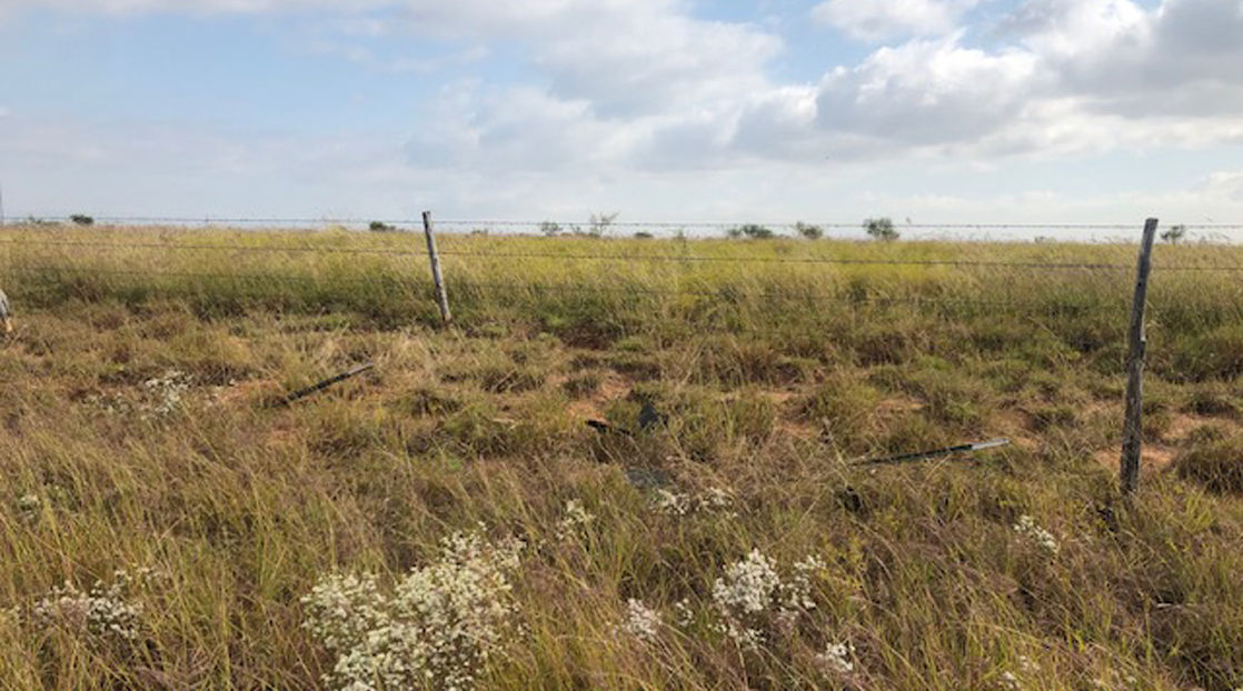 Pieces of Hernandez's Car Located in Empty Field in Jones County (Contributed Photo / Daniela Ibarra)