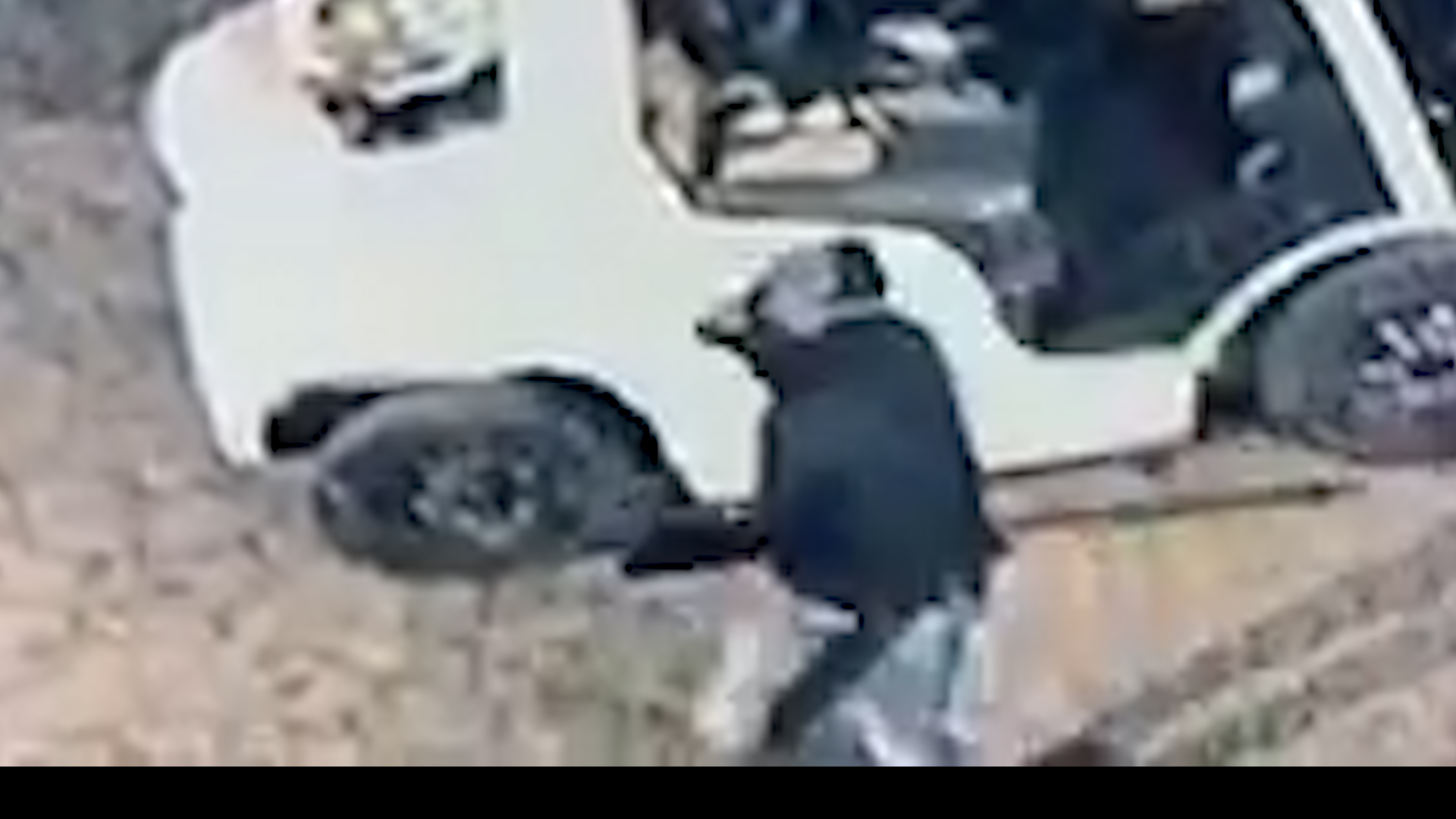 Thief in Black at Bes-Tex on Thanksgiving Night