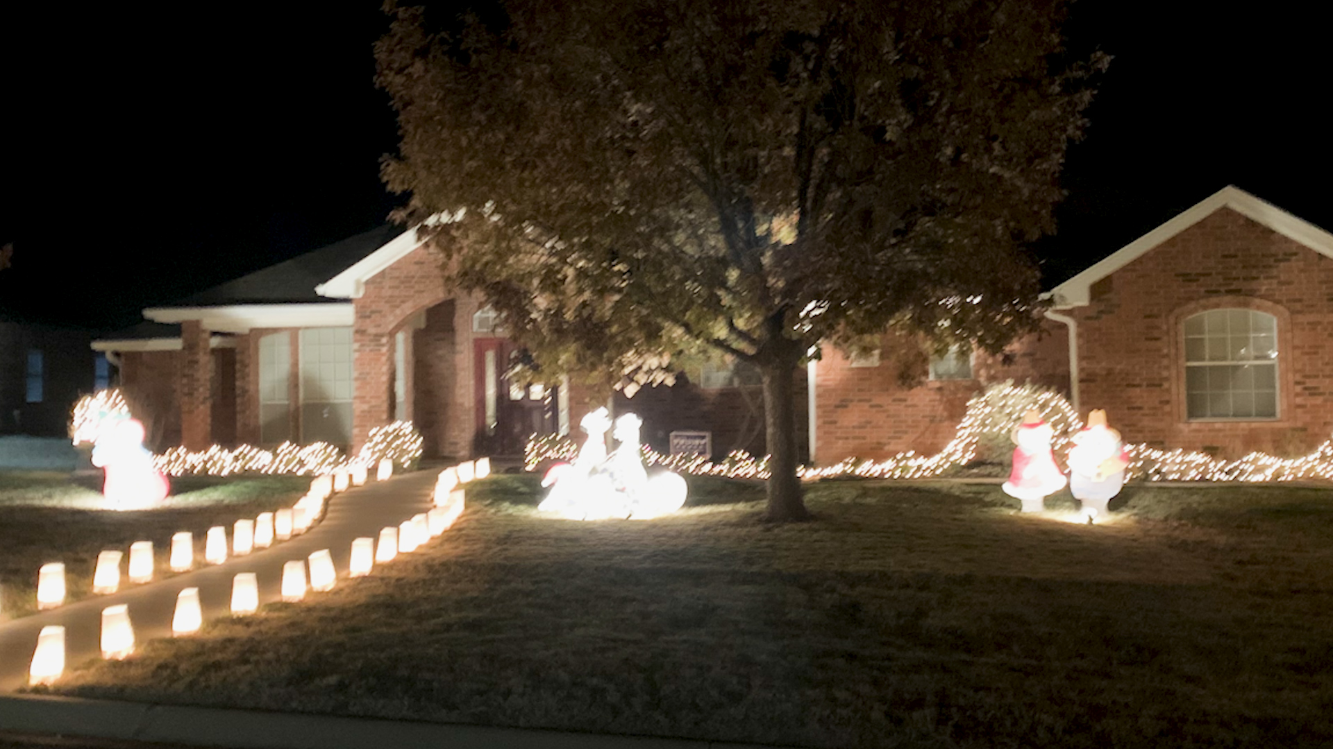 Christmas Lights Through the Bluffs