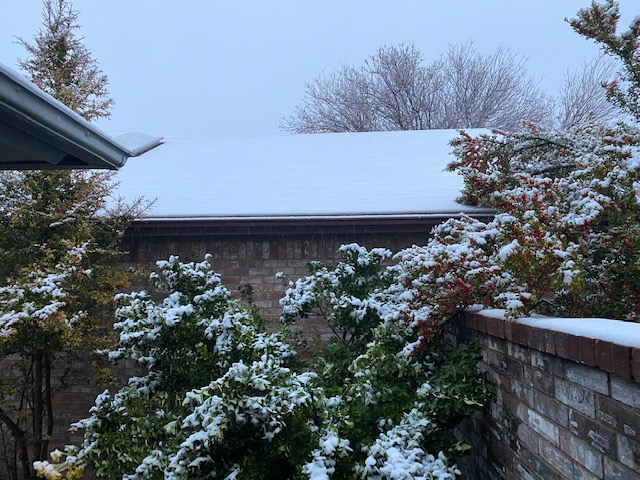 San Angelo snow Jan. 2021 (LIVE! Photo/Yantis Green) San Angelo snow Jan. 2021 (LIVE! Photo/Yantis Green)