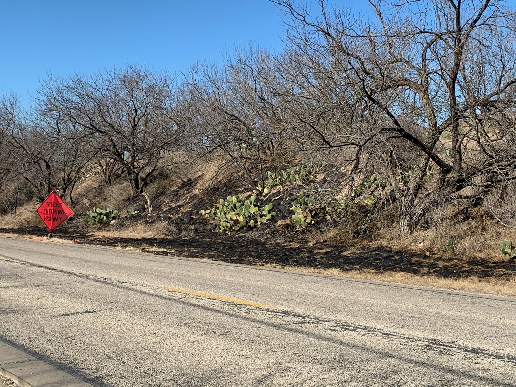 SUV Destroyed in Roadside Fire (LIVE! Photo/Matt Trammell)