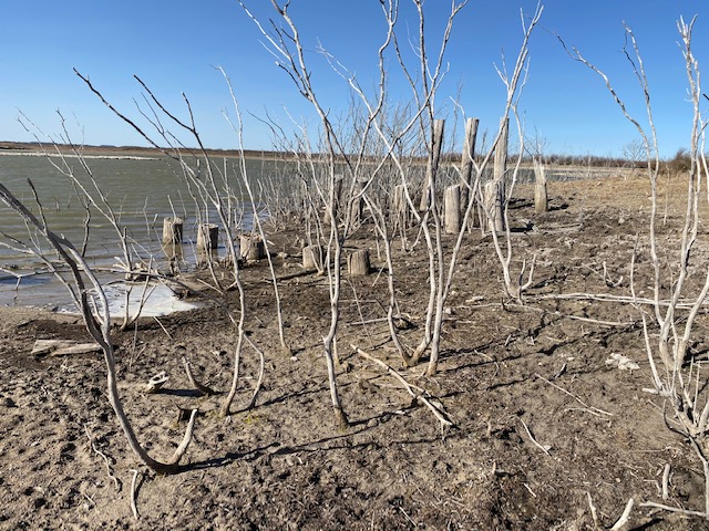 Wooden Train Trestle Remains San Angelo State Park (LIVE! Photo/Yantis Green)