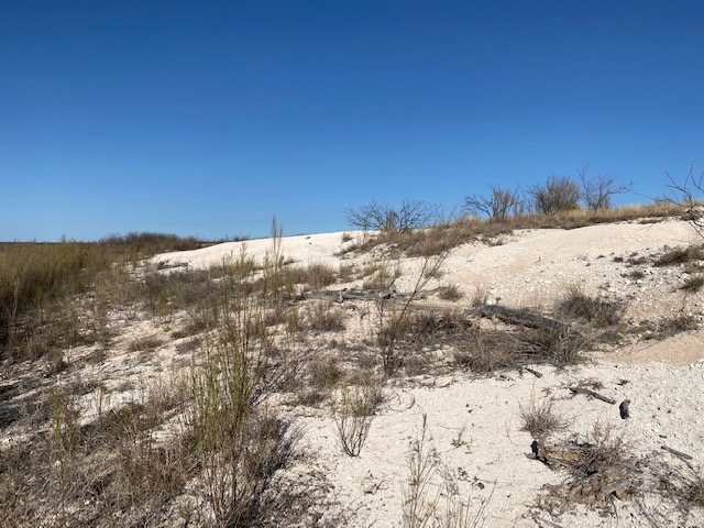 The White Bluffs O.C. Fisher Reservoir (LIVE! Photo/Yantis Green)