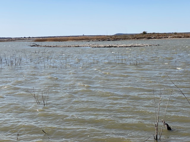 Islands in O.C. Fisher (LIVE! Photo/Yantis Green)