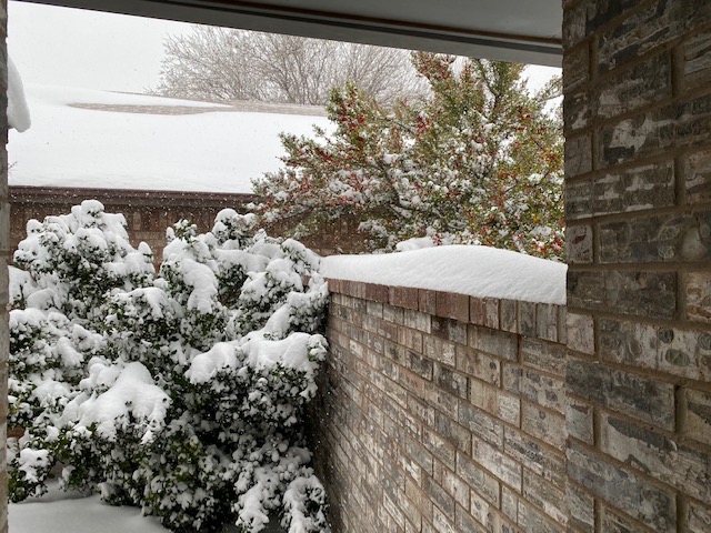 2021 San Angelo Blizzard Valentine's Day (LIVE! Photo/Yantis Green)