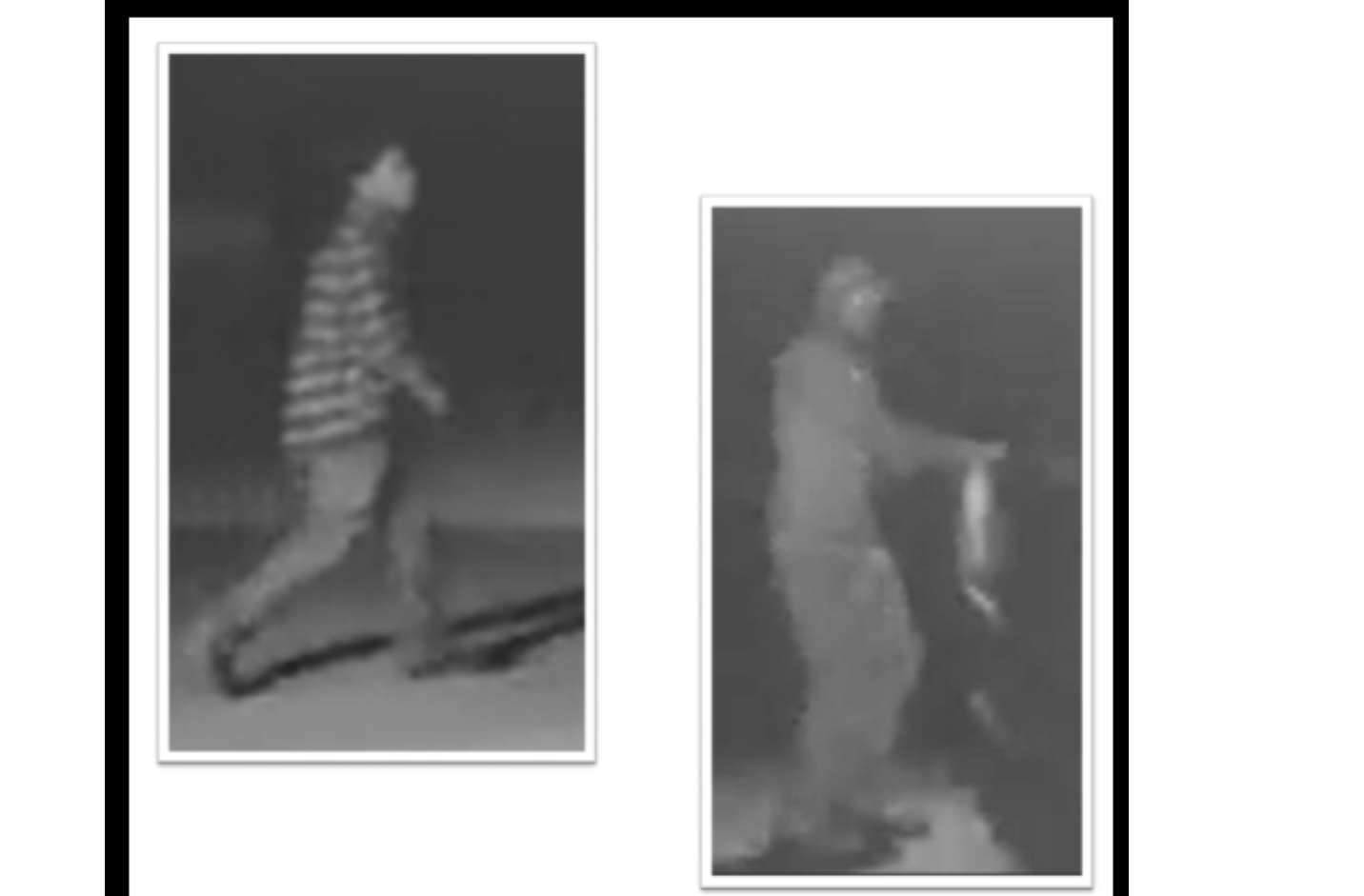 Country Club Gun Thieves