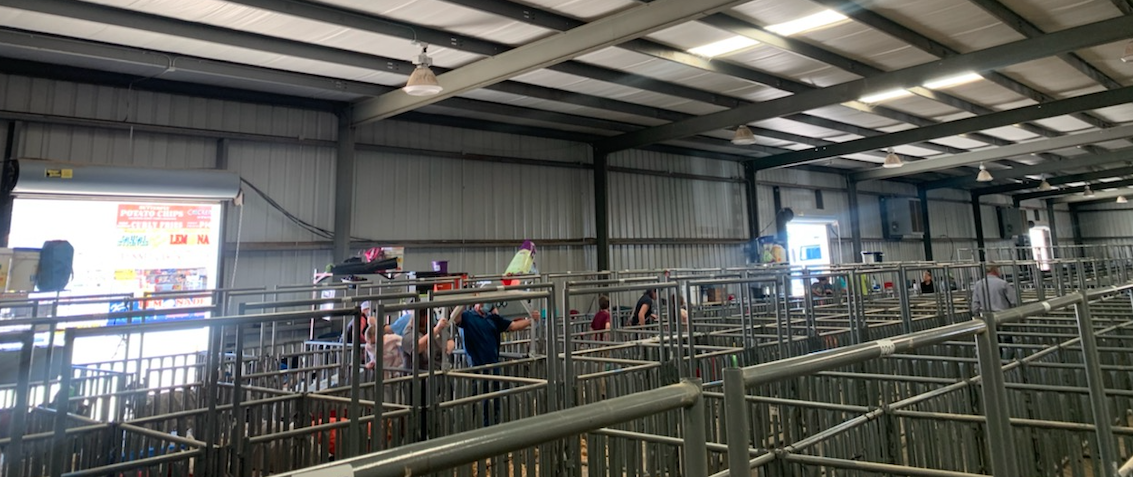 Barns Open for the 2021 San Angelo Livestock Show