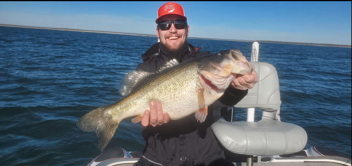 Sharelunker Bass Caught on O.H. Ivie Sharelunker Bass Caught on O.H. Ivie