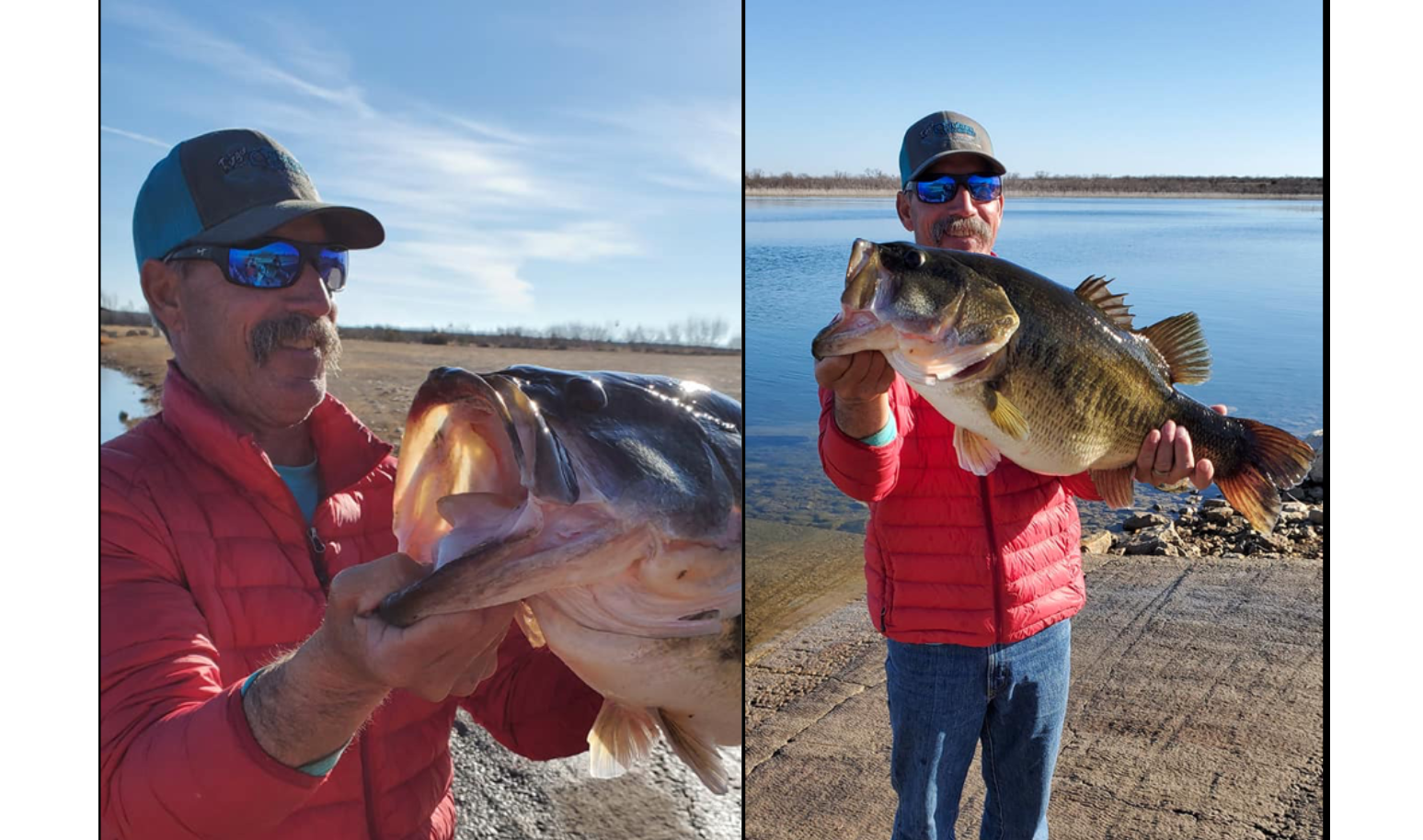Sharelunker Bass Caught on O.H. Ivie Sharelunker Bass Caught on O.H. Ivie