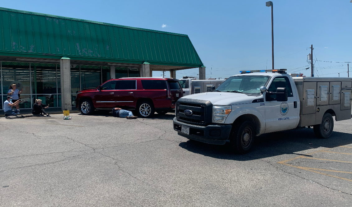 Gigantic Snake Captured in the Dollar Tree Parking Lot