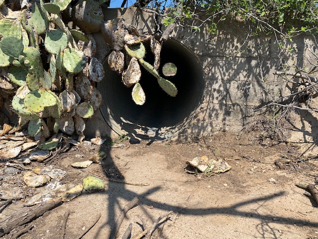 Barrel Drain Under Abandoned Road in San Angelo State Park (LIVE! Photo/Yantis Green) Barrel Drain Under Abandoned Road in San Angelo State Park (LIVE! Photo/Yantis Green)