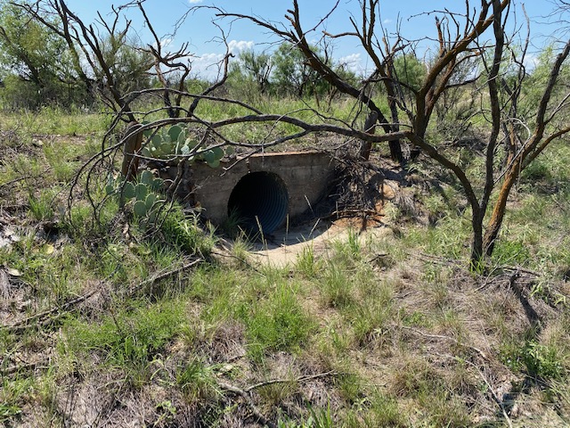 Barrel Drain Under Abandoned Road in San Angelo State Park (LIVE! Photo/Yantis Green) Barrel Drain Under Abandoned Road in San Angelo State Park (LIVE! Photo/Yantis Green)