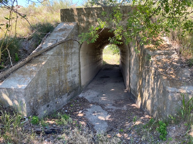 Abandoned Rail Road Tunnel State Park (LIVE! Photo/Yantis Green) Abandoned Rail Road Tunnel State Park (LIVE! Photo/Yantis Green)