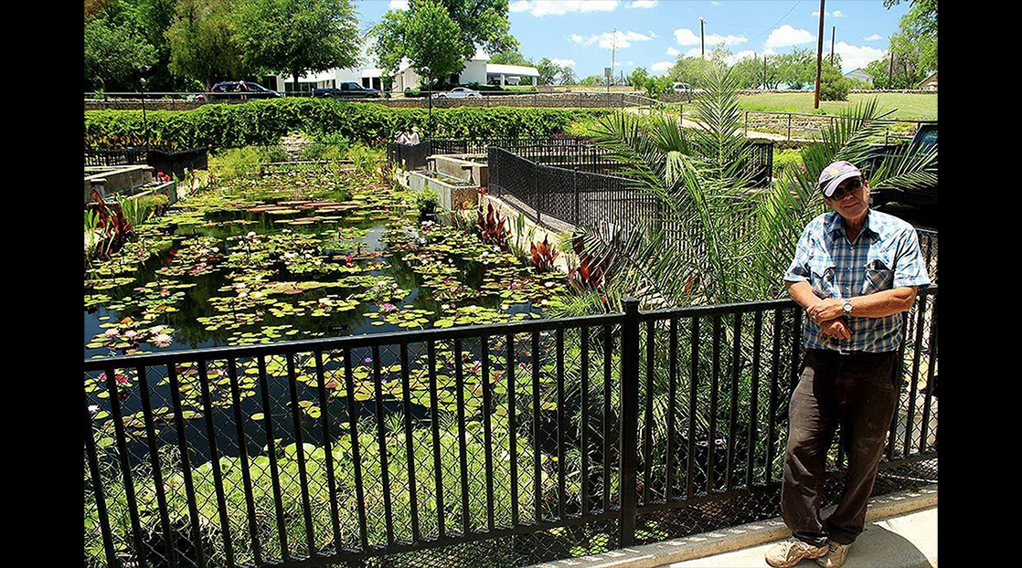 Ken Landon at the International Waterlily Collection Ken Landon at the International Waterlily Collection