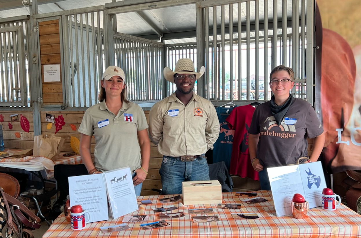 National Mule Day at Fort Concho National Mule Day at Fort Concho