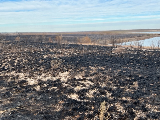 Controlled Burn at San Angelo State Park (LIVE! Photo/Yantis Green)