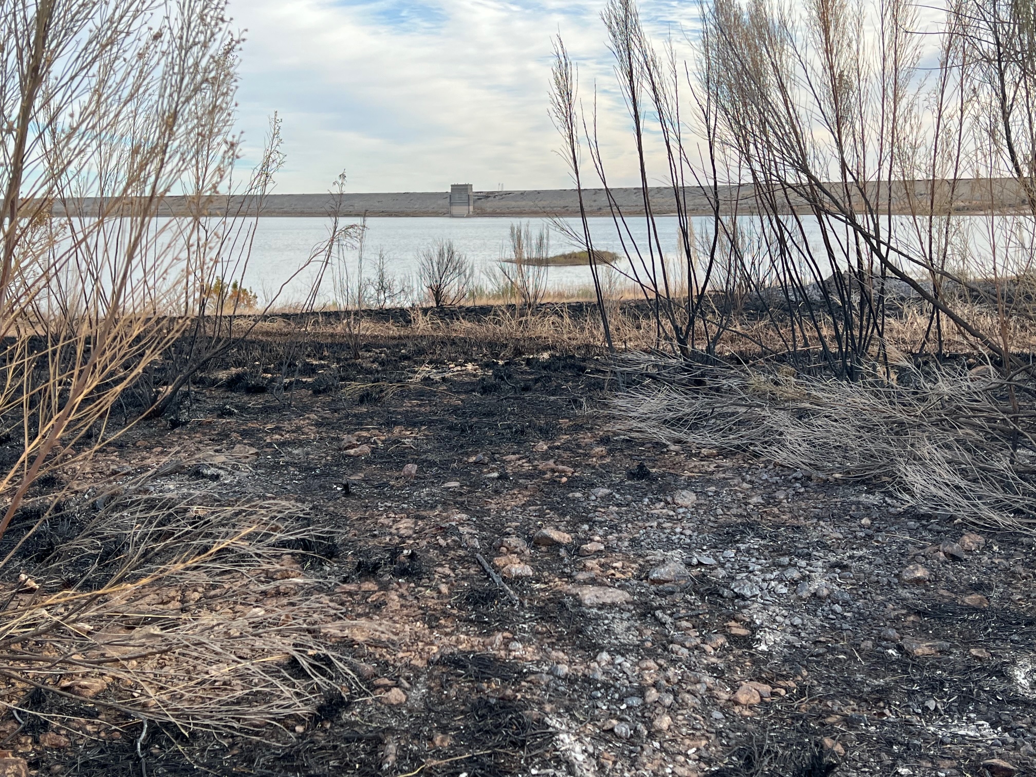 Controlled Burn at San Angelo State Park (LIVE! Photo/Yantis Green)