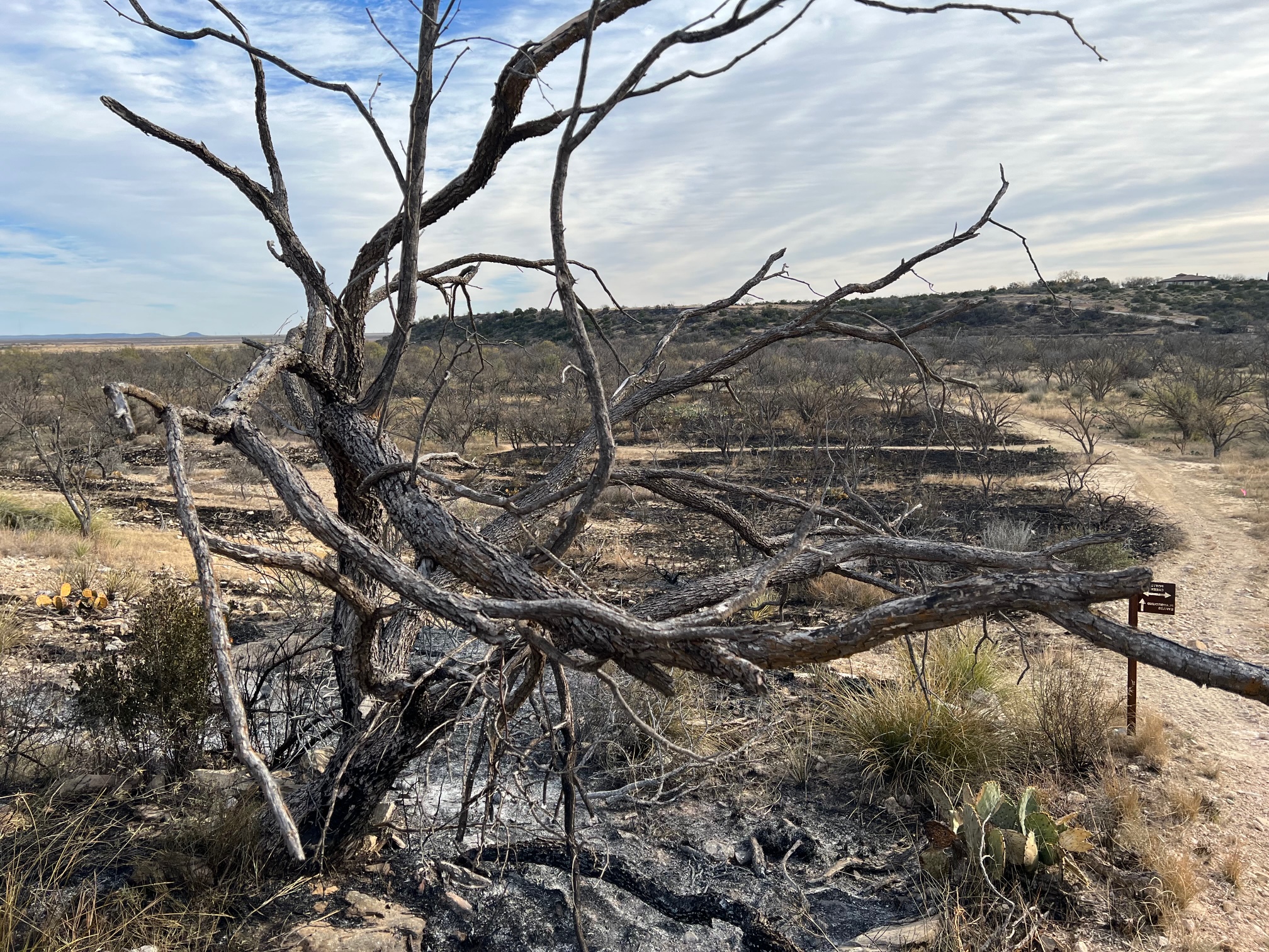 Controlled Burn at San Angelo State Park (LIVE! Photo/Yantis Green)