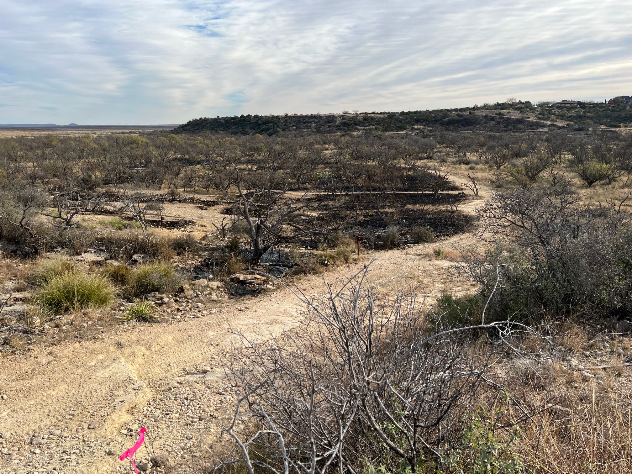 Controlled Burn at San Angelo State Park (LIVE! Photo/Yantis Green)