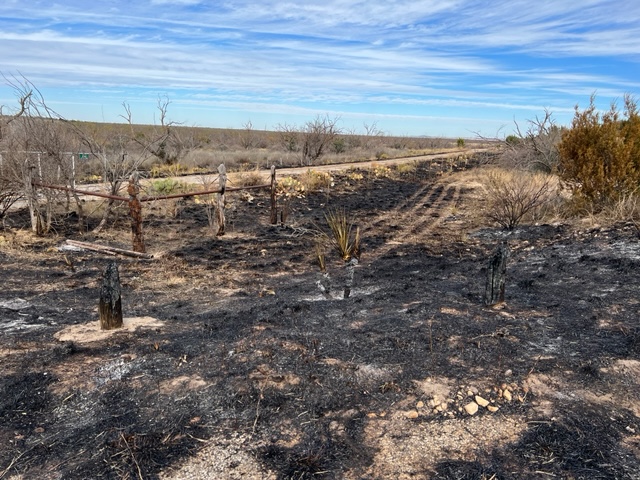 Controlled Burn at San Angelo State Park (LIVE! Photo/Yantis Green)