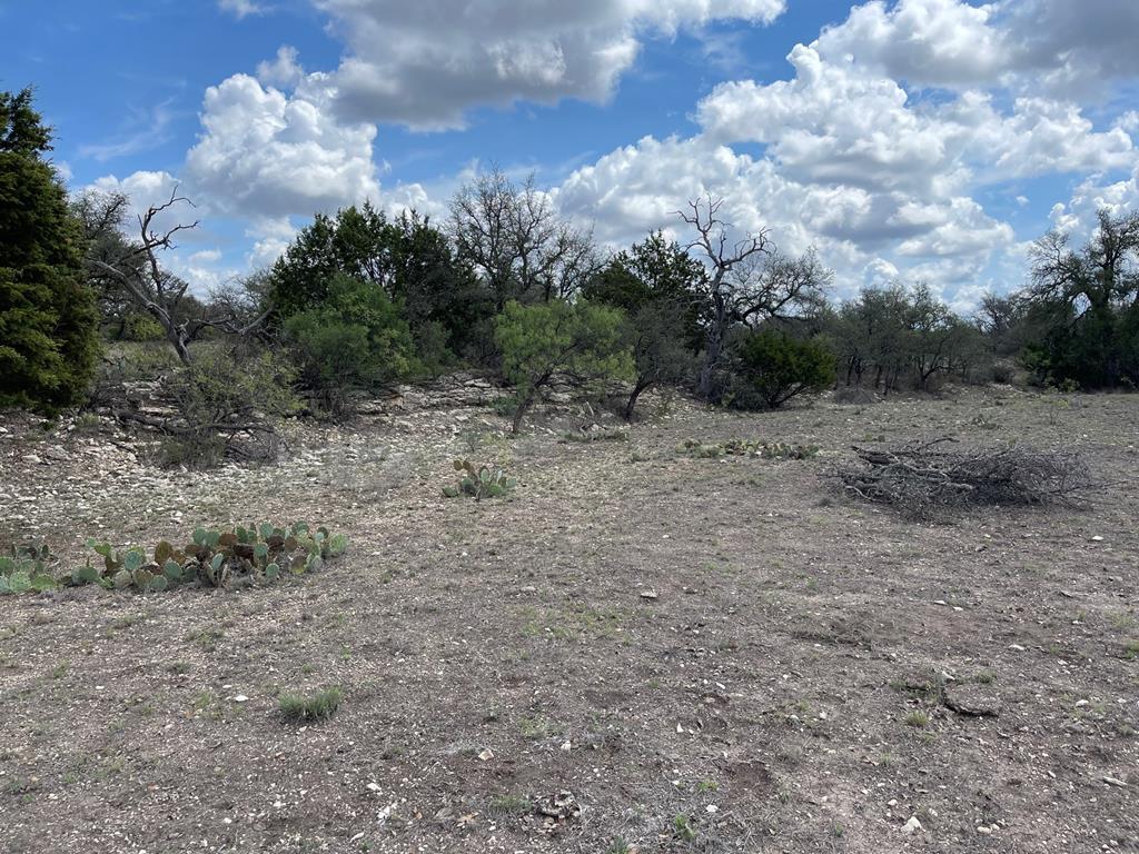 9349 E Hwy 190 Eldorado, 76936