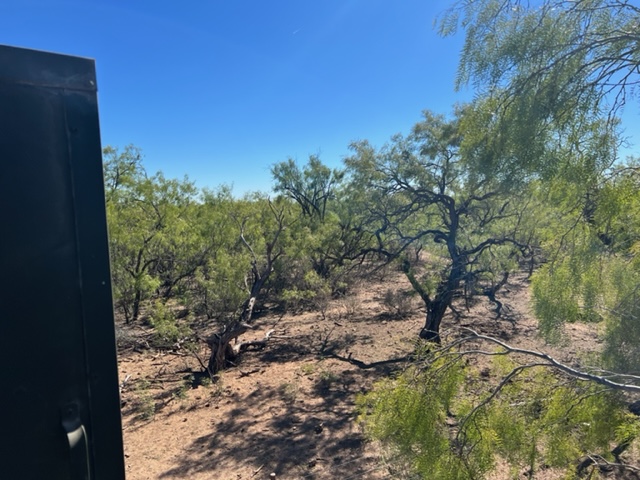 Challenged Children Hunt 2022 (LIVE! Photo/Yantis Green)