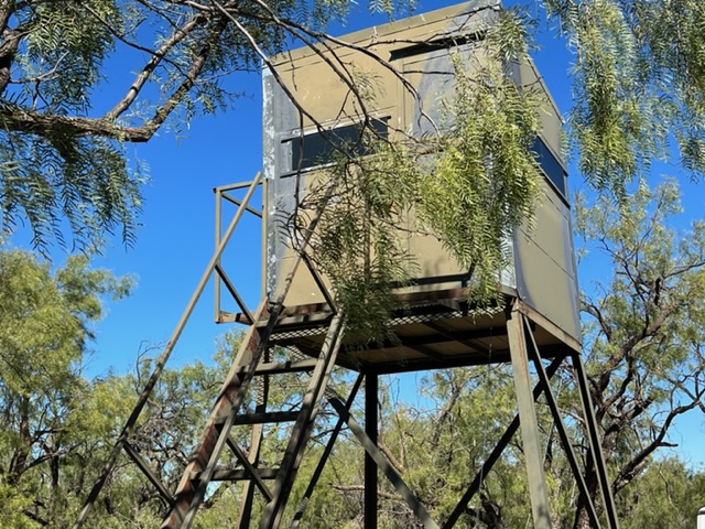 Challenged Children Hunt 2022 (LIVE! Photo/Yantis Green)