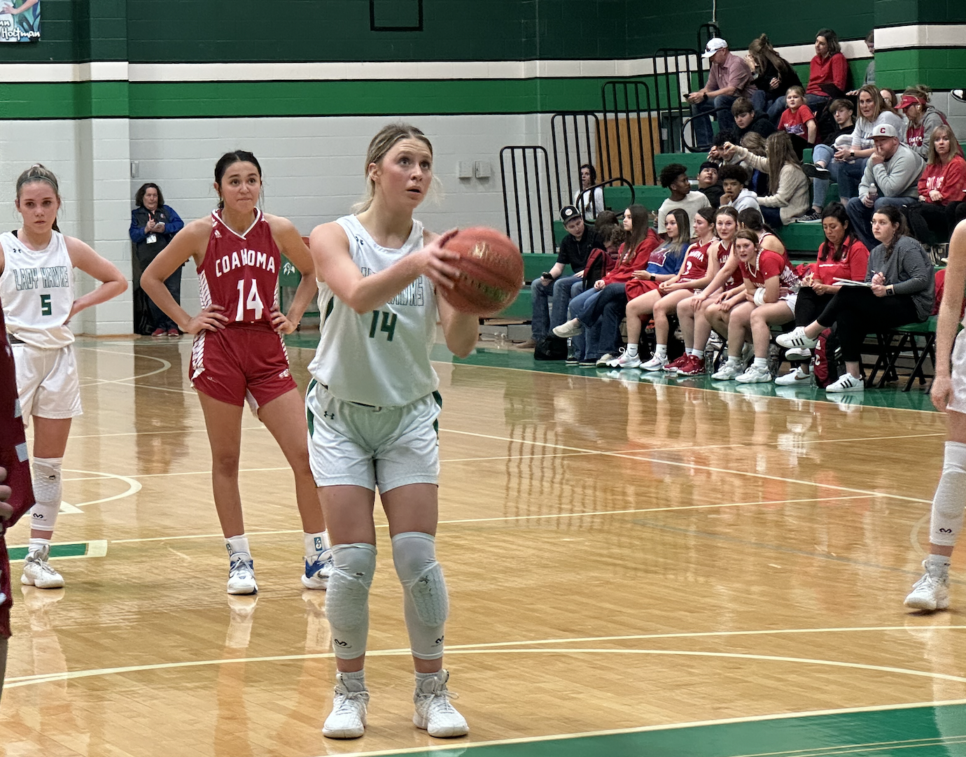 Lady Hawks' Renly Weishuhn Lady Hawks' Renly Weishuhn