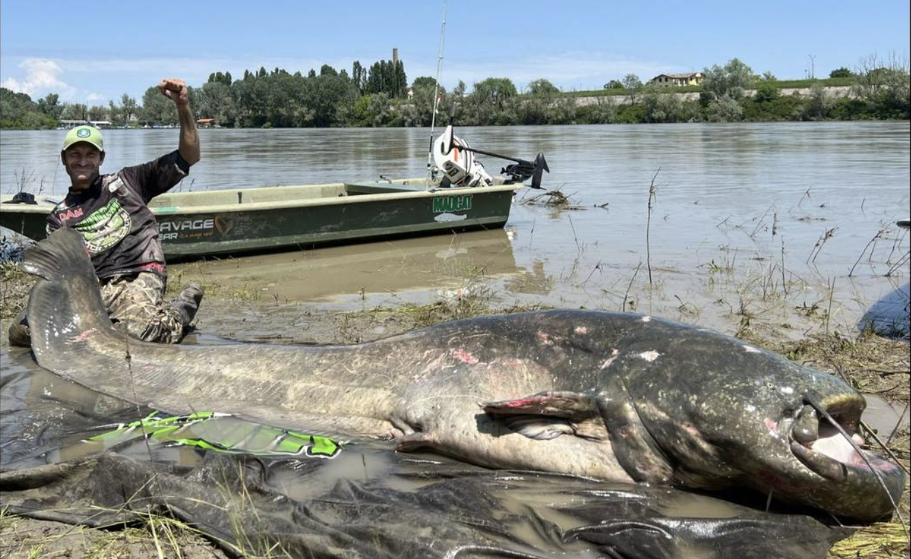 Angler Catches Last State Record Fish for Calendar Year 2023 / 1-3-24  Angler Catches Last State Record Fish for Calendar Year 2023 / Weekly News  / News / KDWP Info / KDWP - KDWP