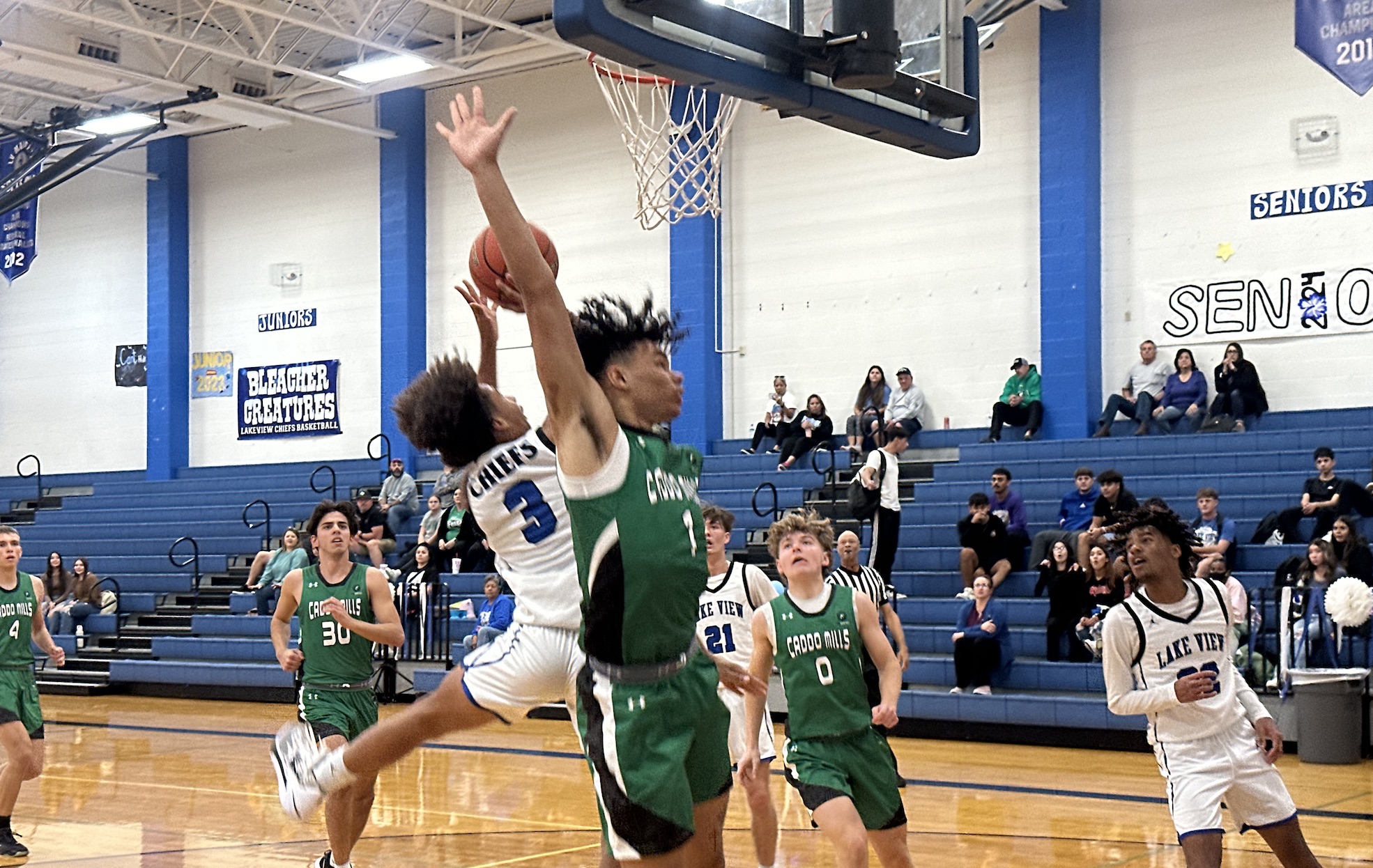 Lake View Chiefs Basketball