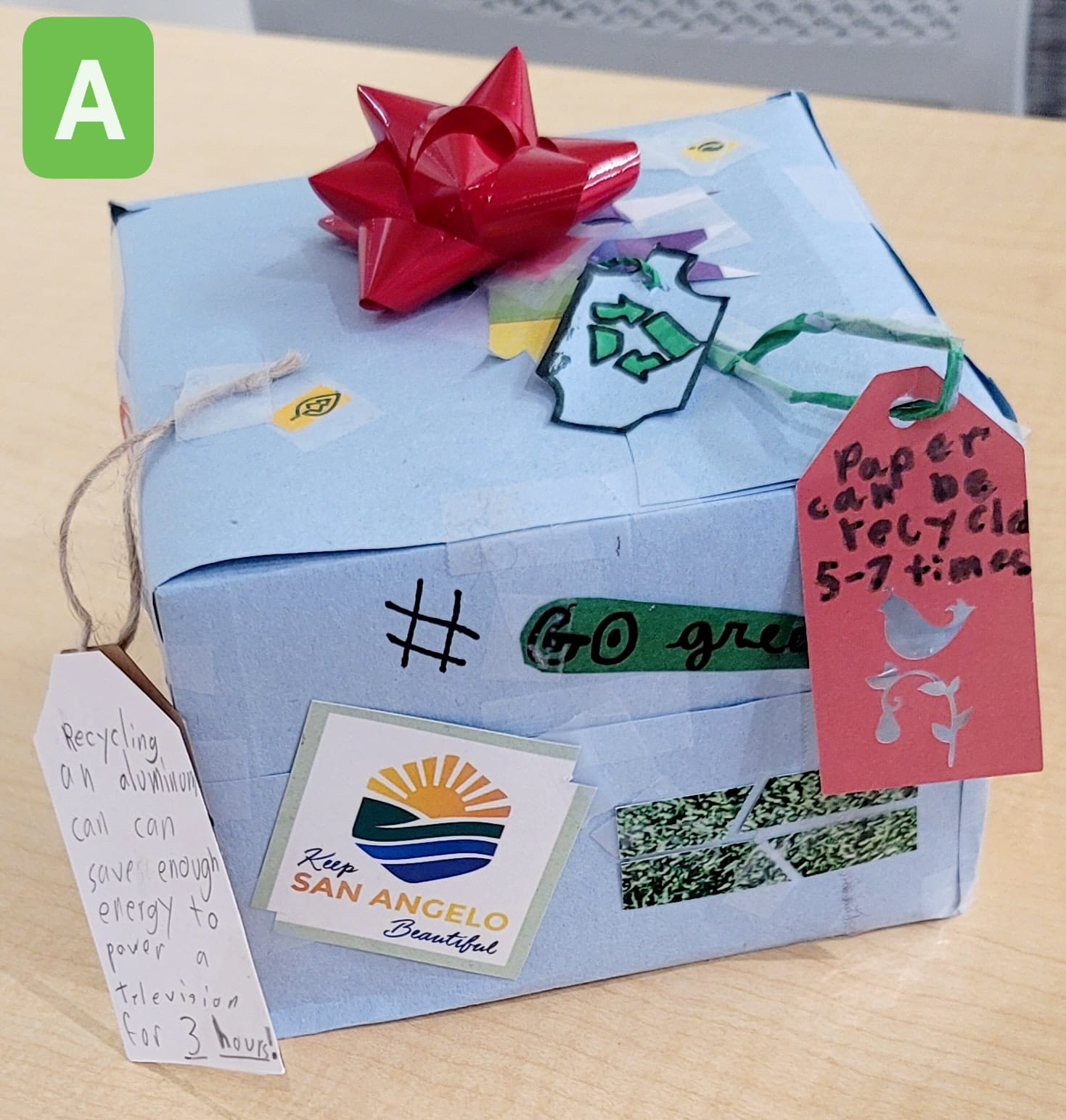 Recycled Art Contest (1)