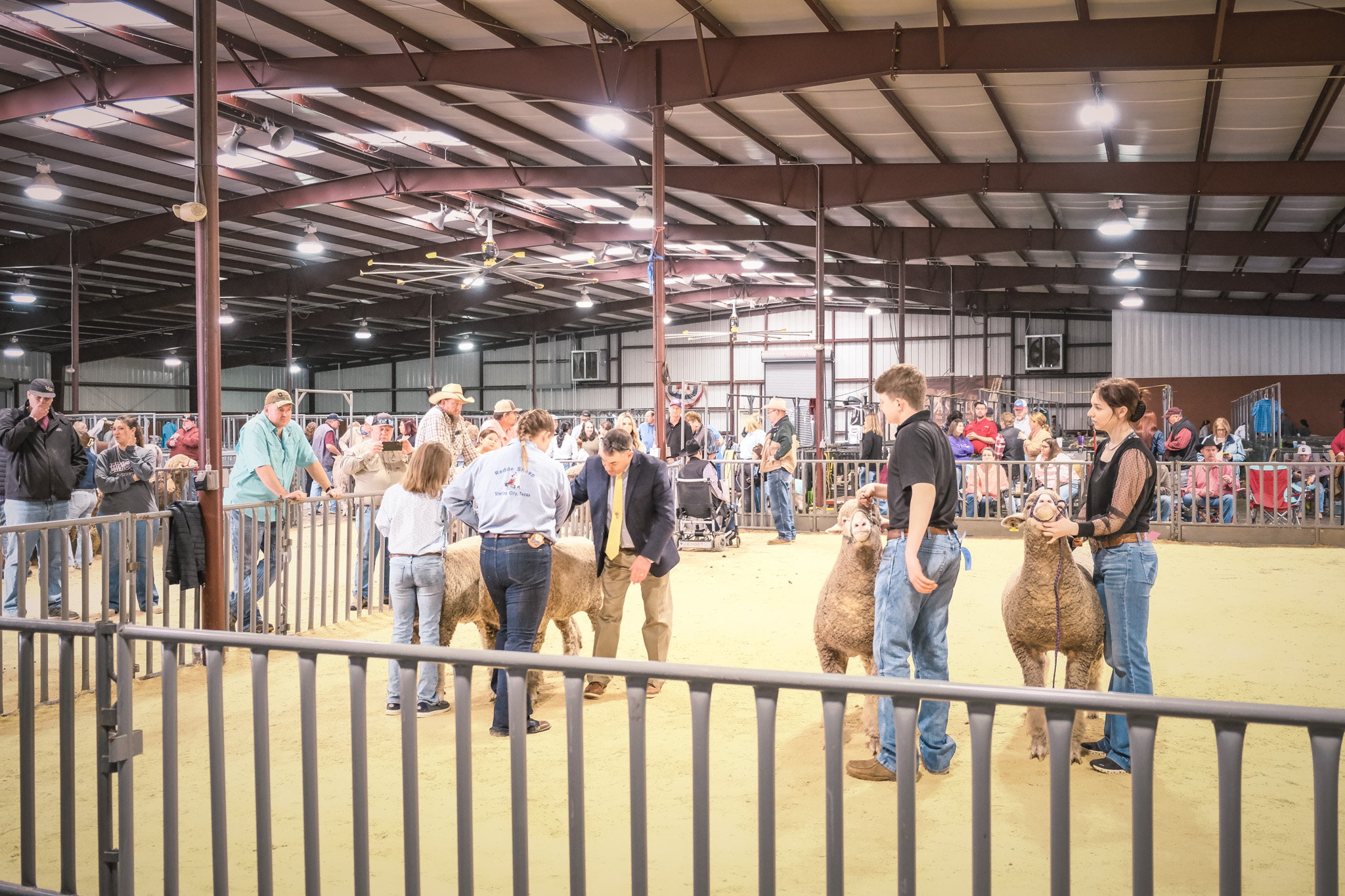 San Angelo Stock Show '24 Competitions Winding Down