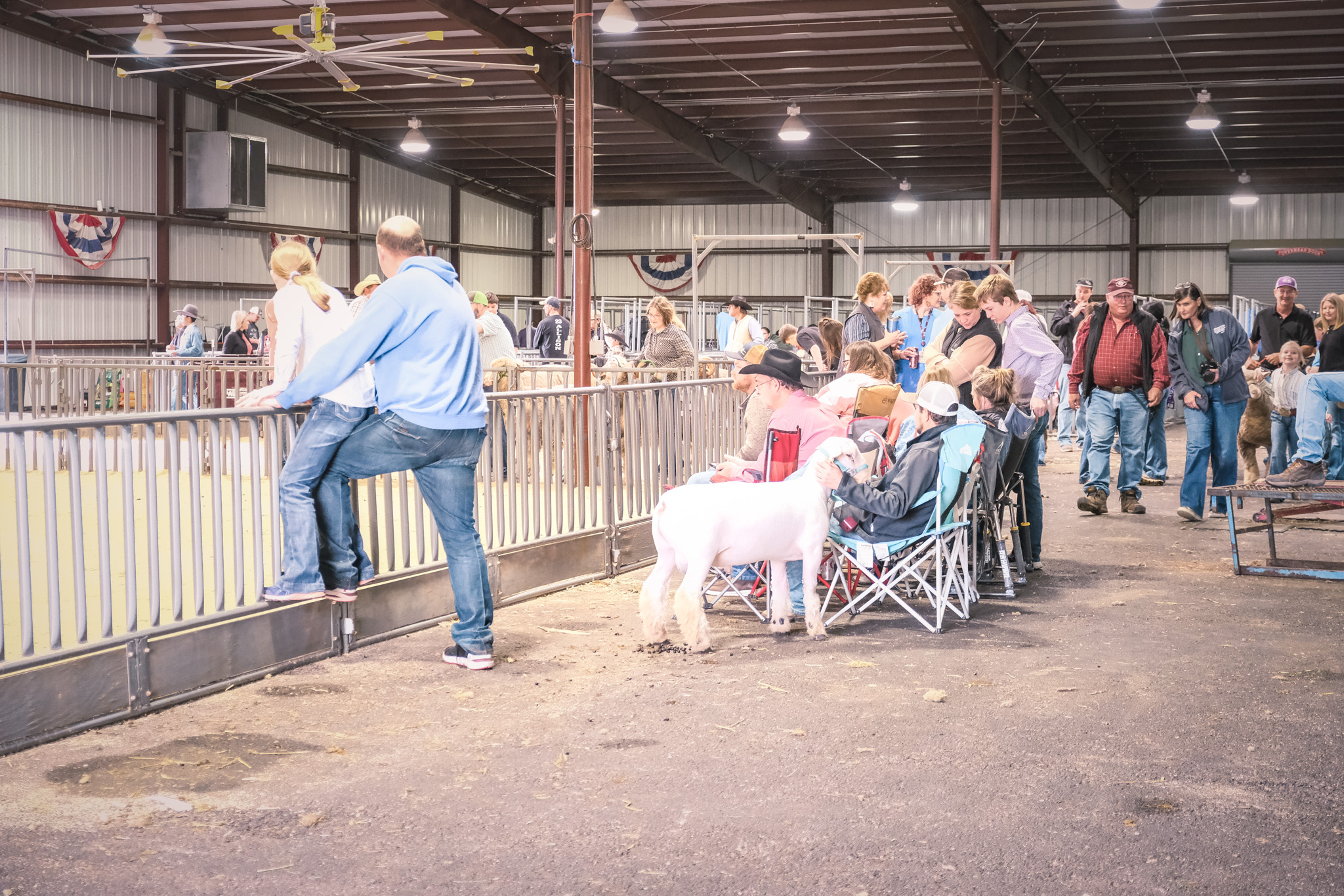 San Angelo Stock Show '24 Competitions Winding Down