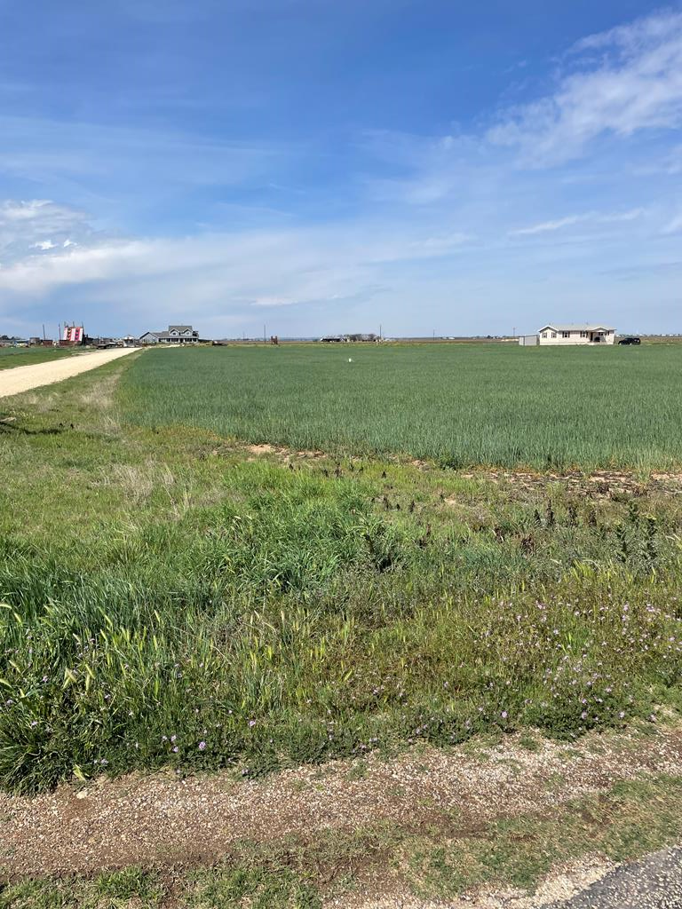 0 Bean Rd Wall, TX 76957