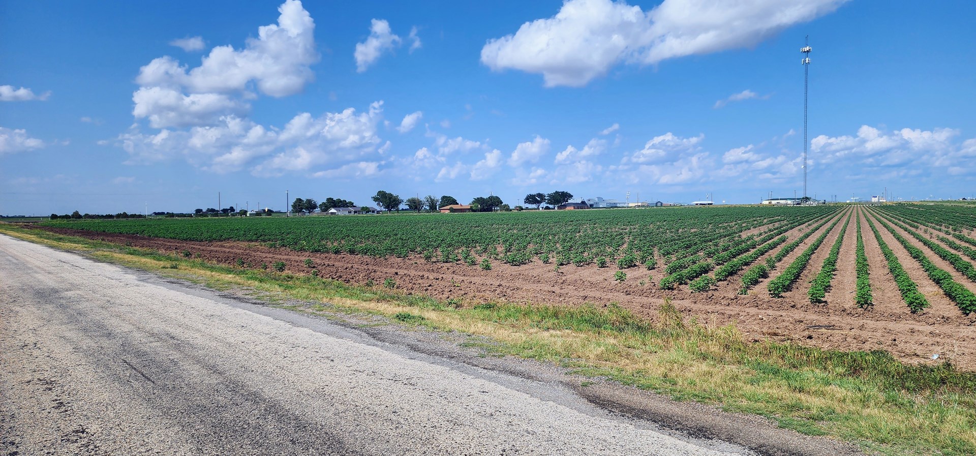 Irrigated Farmland near San Angelo, Texas in Wall