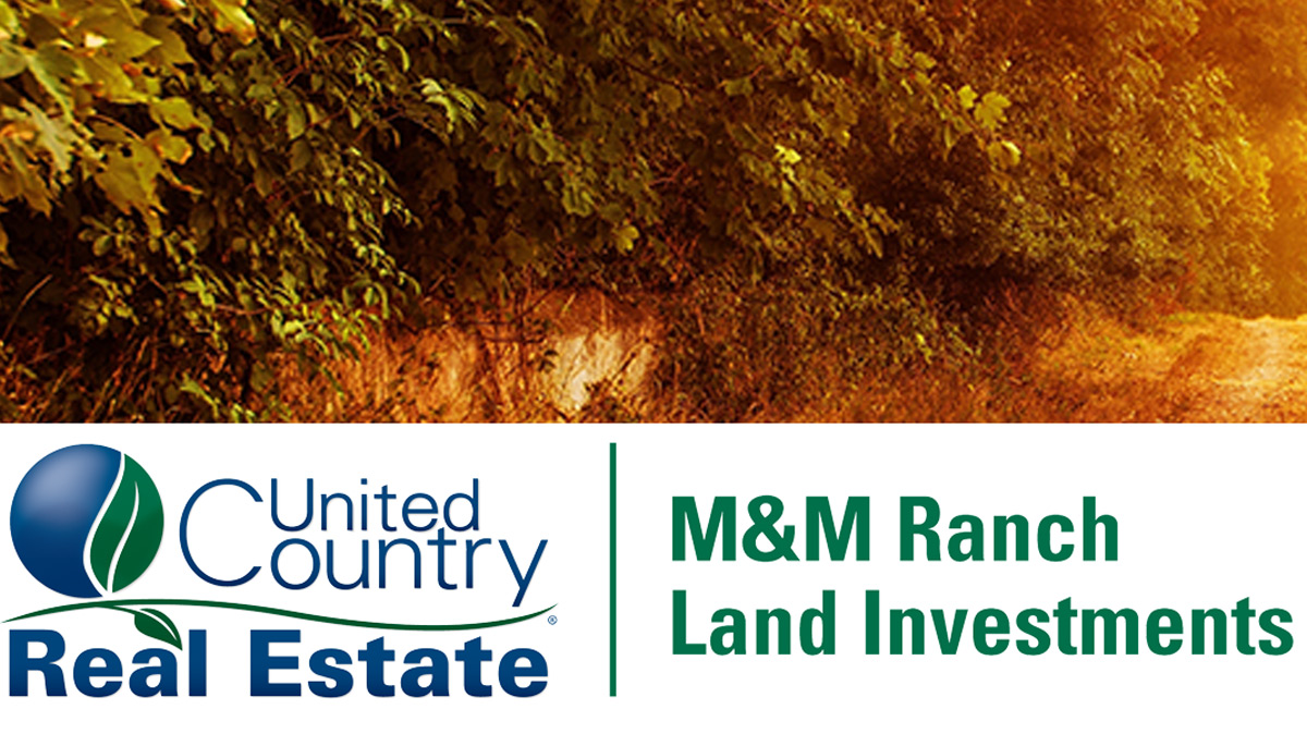 M &amp; M ranch Investments