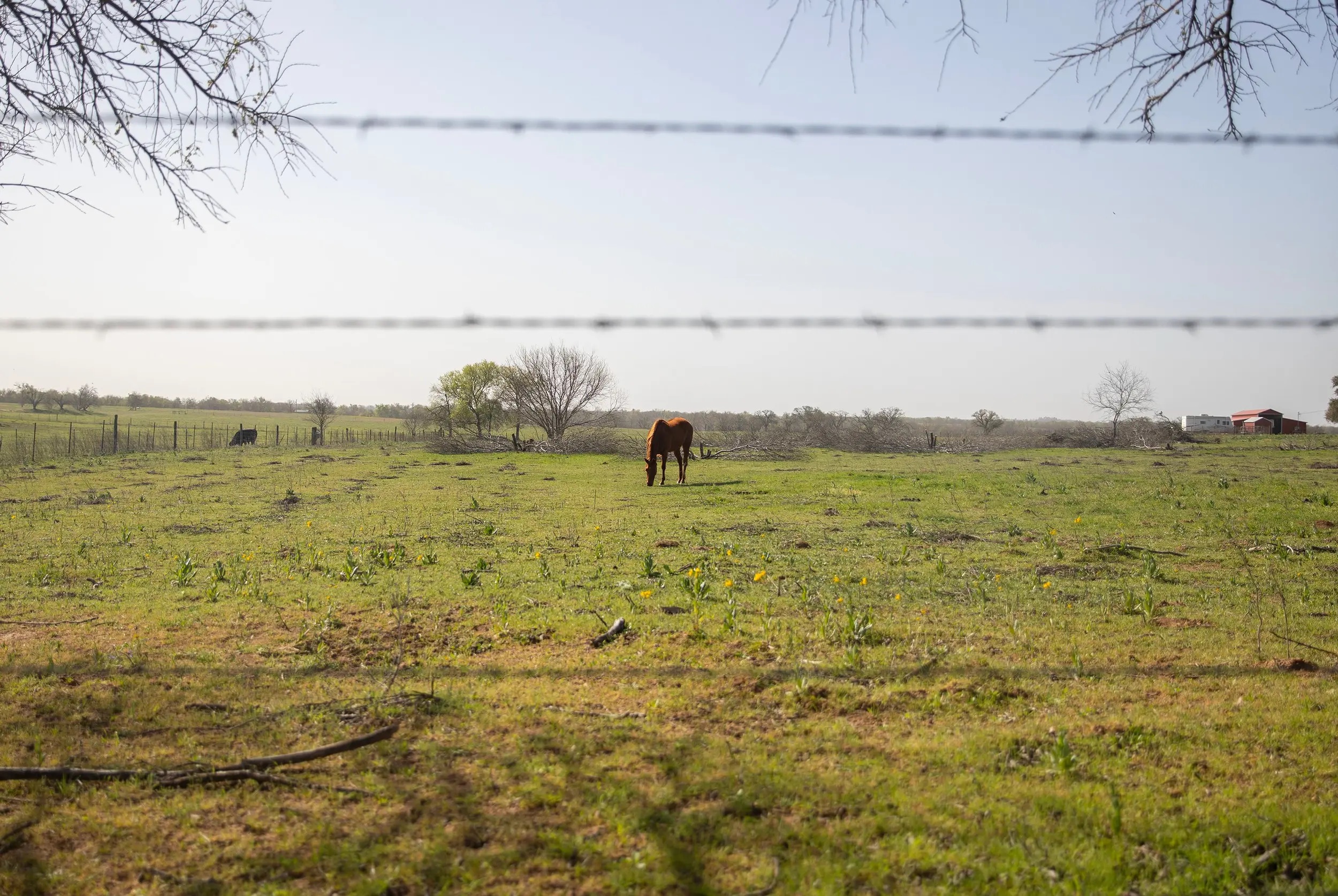 The Texas House has approved the negotiated version of a bill that aims to ban people tied to the governments of China, North Korea, Russia and Iran from purchasing land in the state. The Texas House has approved the negotiated version of a bill that aims to ban people tied to the governments of China, North Korea, Russia and Iran from purchasing land in the state.