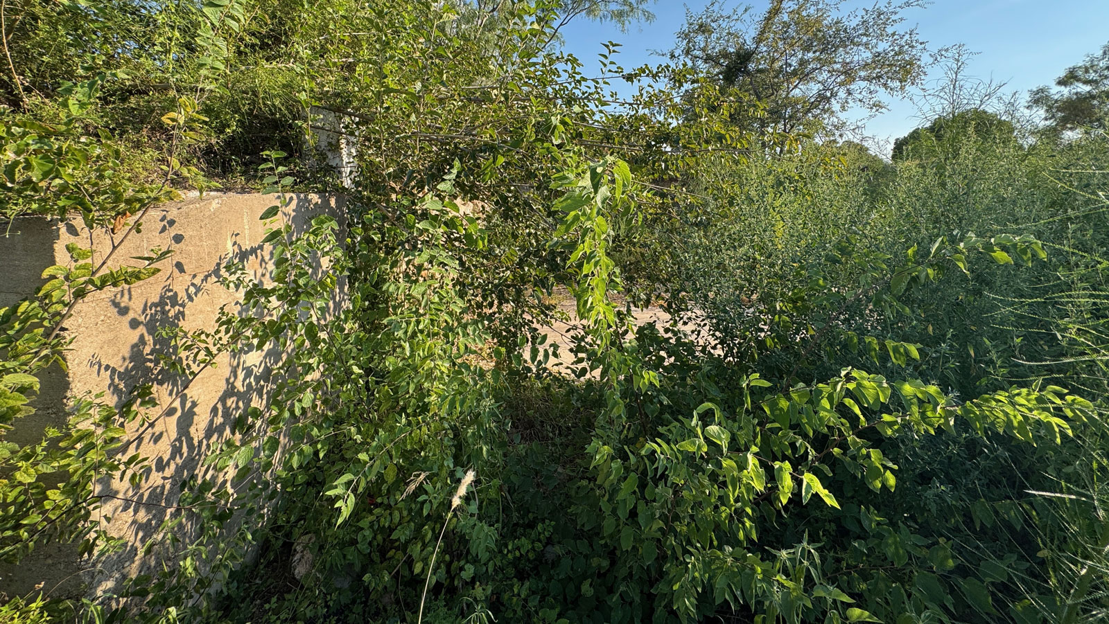 More ruins from the former Beaver Lodge Motel at 405 S. Chadbourne St. More ruins from the former Beaver Lodge Motel at 405 S. Chadbourne St.