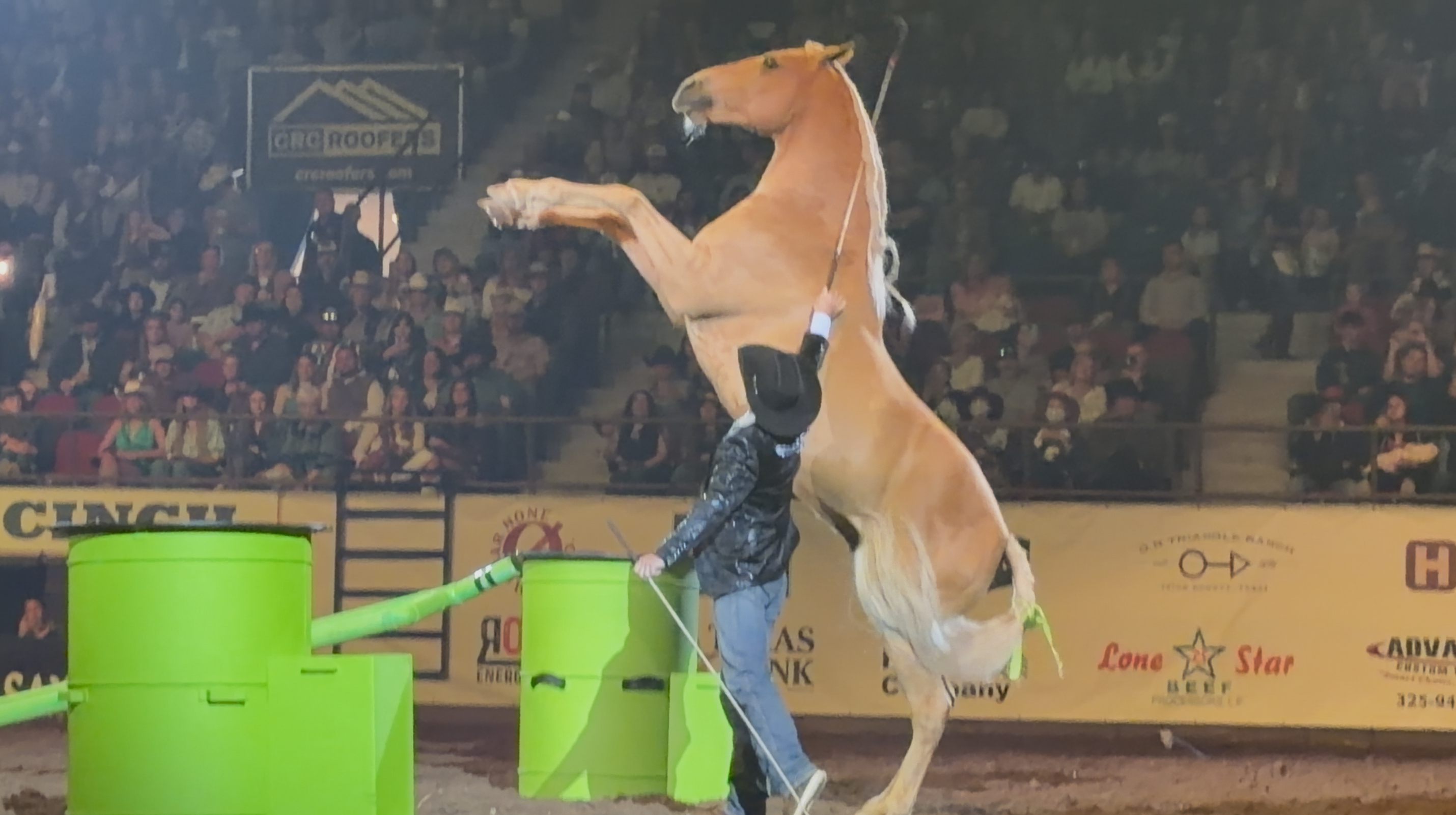 Dan James and Applejack