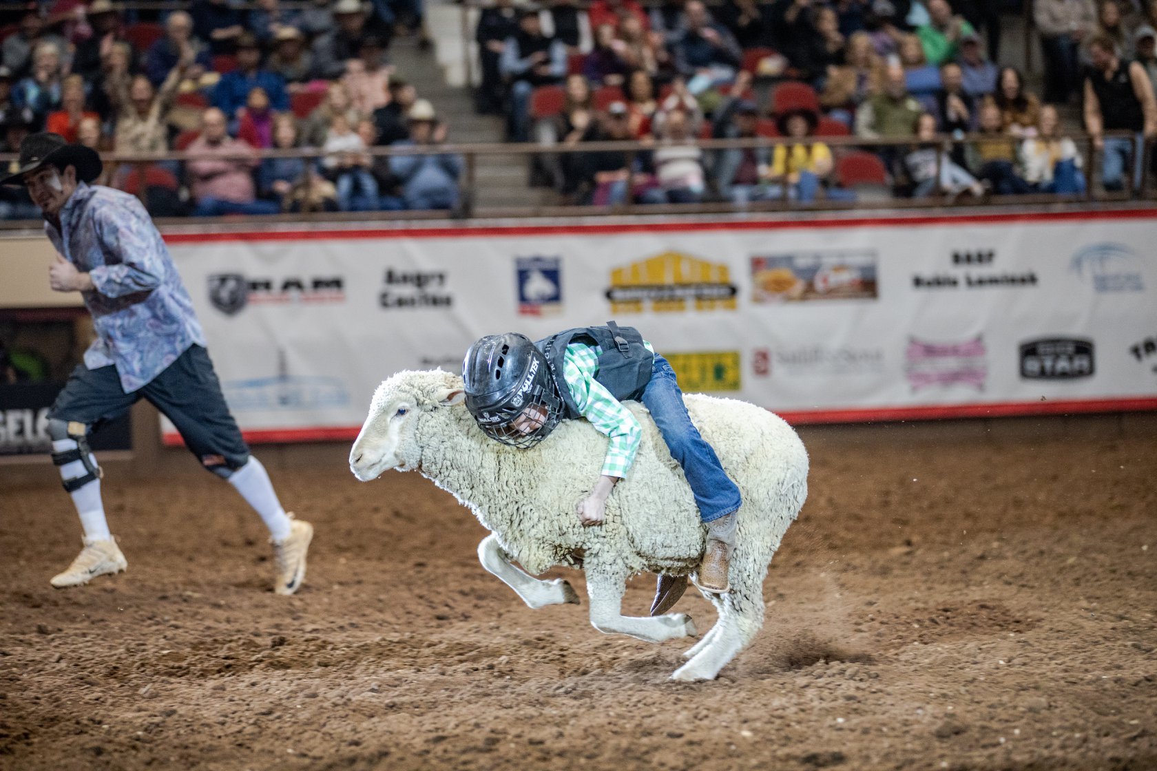 Rodeo Watch This Incredible 91Point Ride on a Sheep