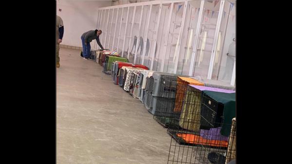 Temporary Animal Shelter Closed for Zoning Violation