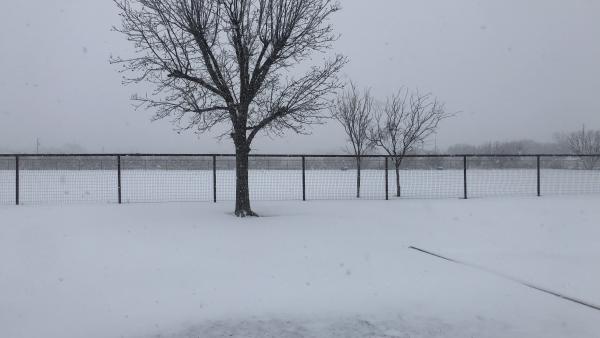 Abilene Woman Freezes to Death in Her Backyard