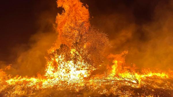 Texas Forest Service Responding to Multiple Wildfires in West Texas